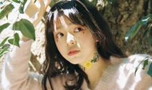 别试图用朋友圈去了解这些生肖