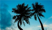 爱走肾不爱走心的星座男，谨慎恋爱