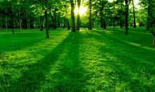 12生肖中，好日子开始，财富数不清，3月贵人助力的五生肖