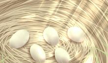 女人梦见成堆的鸡蛋有何寓意 预兆