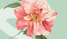 二月二龙抬头是什么意思？你知道它有什么来历吗？(图文)