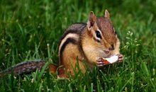 1.28号后，运势大旺，日子有盼头，财气兴旺的4个生肖