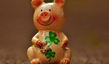 生肖猪的2020年运势