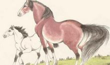 2020年犯太岁生肖中哪个最严重,属马人2020年运势好吗?