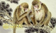 属猴的小名叫什么好