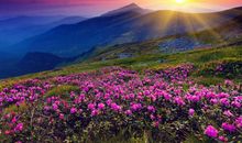 最近10天，运势火速上升，3生肖横财大奖全来，翻身做富人