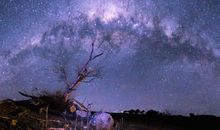 2020年春节期间桃花运大旺，有望脱单的星座，白羊座让人羡慕