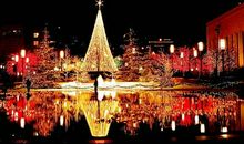 2019年圣诞节出生带“圣”字的男宝宝起名大全(图文)