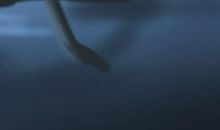 女人手背上有痣代表什么 影响好吗