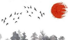 生肖属羊爸爸和什么生肖属相的宝宝相合相冲