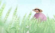 小满后面是什么节气 农事农谚