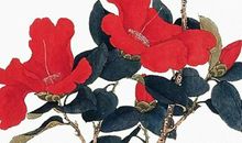 生肖属牛的父母和什么生肖属相的孩子相害相冲