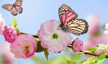 2020年初迎来财运顺利，运势上涨，大富大贵的四4生肖