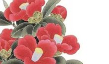 生肖属牛的父母和什么生肖属相的孩子最相合