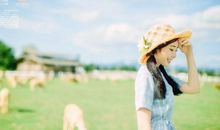 既然没有恋爱可享，这三大星座就会将心完全放在事业上