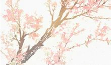 生肖属牛的父母不适合生什么生肖属相的小孩