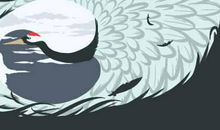 会让家人争吵不断的住宅风水因素