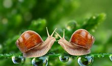 晨霁一周星座运势1.18-1.24下：就像一阵风