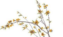 2020庚子年农历十一月二十七出生的男孩怎么起名字，五行八字是什么