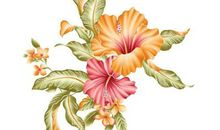 2020庚子年农历十一月二十五出生的男孩如何取名字，五行八字是什么