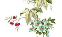 2020庚子年农历十一月二十四出生的男孩起什么名字寓意好，五行属什么