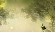 青年节是中国传统节日吗 是几岁到几岁