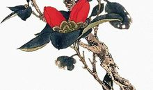 生肖属虎的父母和什么生肖属相的孩子相害相冲