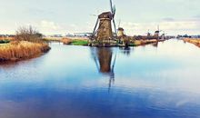 铃兰塔罗星象运程：天北火，红色大三角