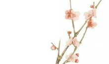 生肖属虎的父母和什么生肖属相的孩子最相合