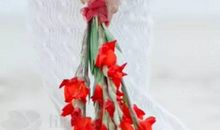 2020年农历七月和八月生肖属蛇和生肖属蛇宜结婚黄道吉日