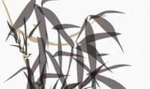 生肖属兔的父母不适合生什么生肖属相的小孩