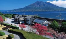 关于鼠年的跨年标语，七大代表性的标语大家快收下