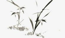 女人右眼皮有痣，寓意事业有成，但是要注意身体健康问题