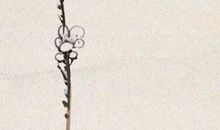 2020年12月1号出生的男孩怎么起名字，五行属什么