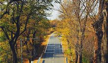 测一测你哪种魅力最能吸引异性？