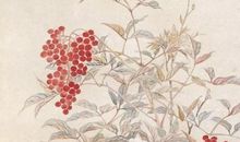 2020年出生的属鼠的男宝宝取名，如何根据鼠的特征起名