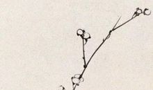 2020年5月16号四月二十四日生的男孩命运好吗，结合楚辞取名