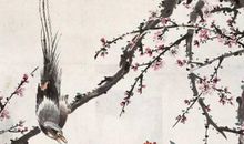 2020年5月14号四月二十二日生的男孩命运好吗，怎么八字取名