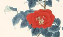 2020金鼠男孩取名，鼠宝宝取名最佳字