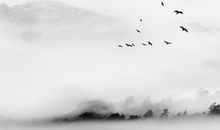 1948年丑时出生的生肖属鼠人命好吗，升官发财，晚年安康幸福