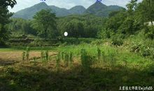 中原催贵风水，杨公风水王君植大师带河南郑州风水培训班弟子实战寻龙点穴案例