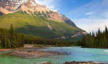 在风水中什么招财，客厅摆放发财树，金玉满堂，五福临门