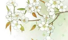 2020年6月6号闰四月十五生的男孩命运好吗，取什么名字吉祥