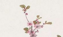 2020最新男孩名字大全，鼠宝宝取名禁用字