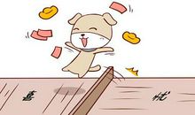 属猪男和属狗女相配吗，婚姻生活是否美满呢？