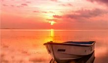 可怕！12星座啥时会爆发职业危机？