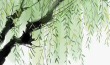 属鼠女孩起名的禁忌，忌用丑陋字起名