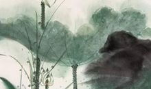 生肖属龙的父母和什么生肖属相的孩子相害相冲