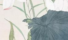 2020年农历五月十四出生的女宝宝如何取名字，五行八字好吗