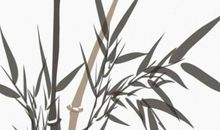 生肖属龙的父母不适合生什么生肖属相的小孩